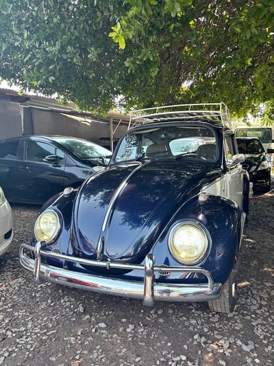 Volkswagen Beetle thumbnail 1