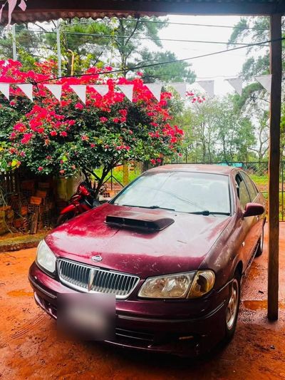 Nissan Sylphy miniatura 2