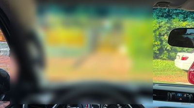 Toyota Hilux miniatura 17