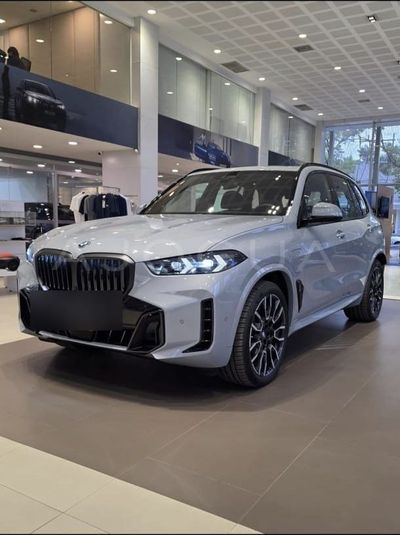 BMW X5 miniatura 2