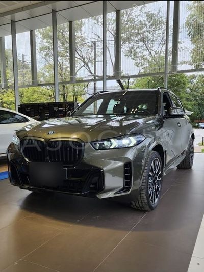 BMW X5 miniatura 2