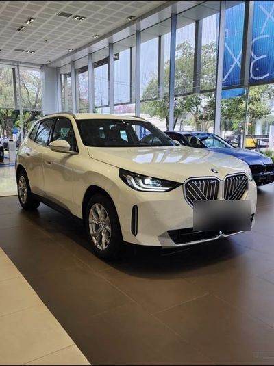 BMW X3 miniatura 2