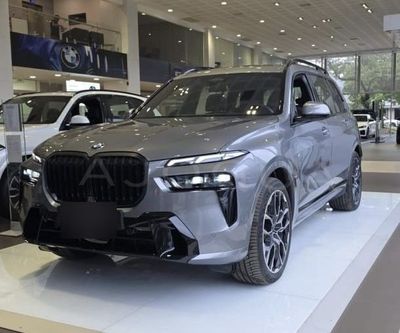 BMW X7 miniatura 2