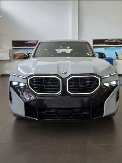 BMW XM miniatura 2