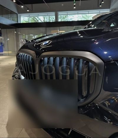 BMW X5 miniatura 2