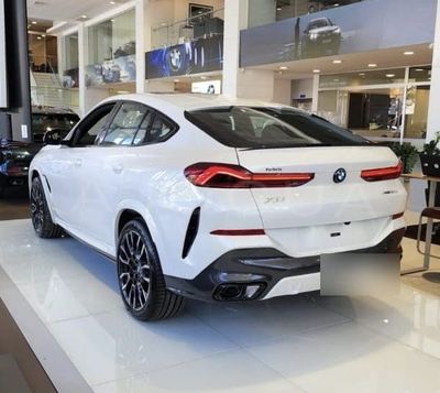 BMW X6 miniatura 4