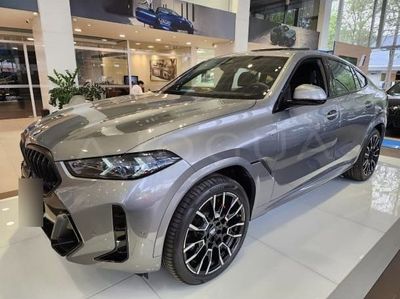 BMW X6 miniatura 2