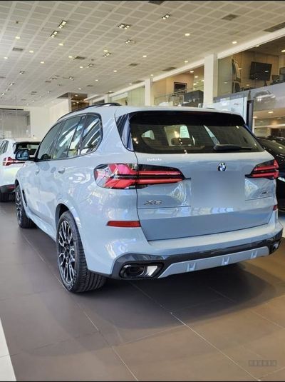 BMW X5 miniatura 8