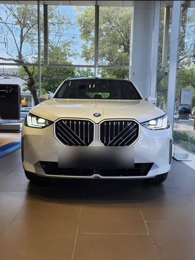 BMW X3 miniatura 3