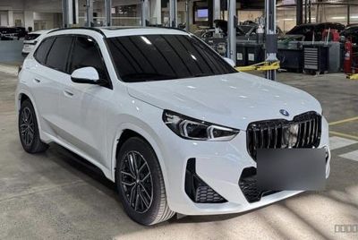BMW X1 miniatura 3