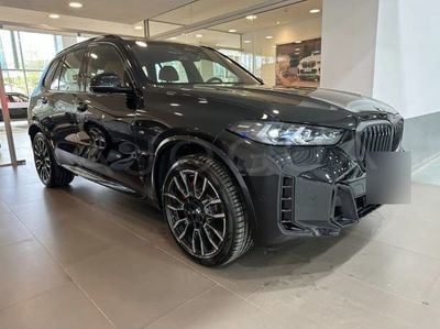 BMW X5 miniatura 2