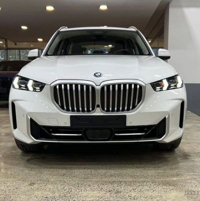 BMW X5 miniatura 2