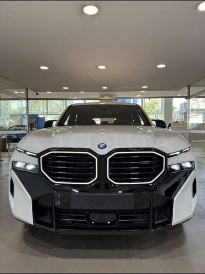BMW XM miniatura 3