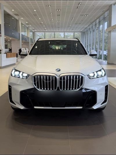 BMW X5 miniatura 2