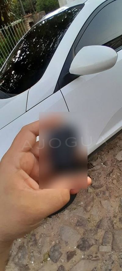 Kia Sportage miniatura 5