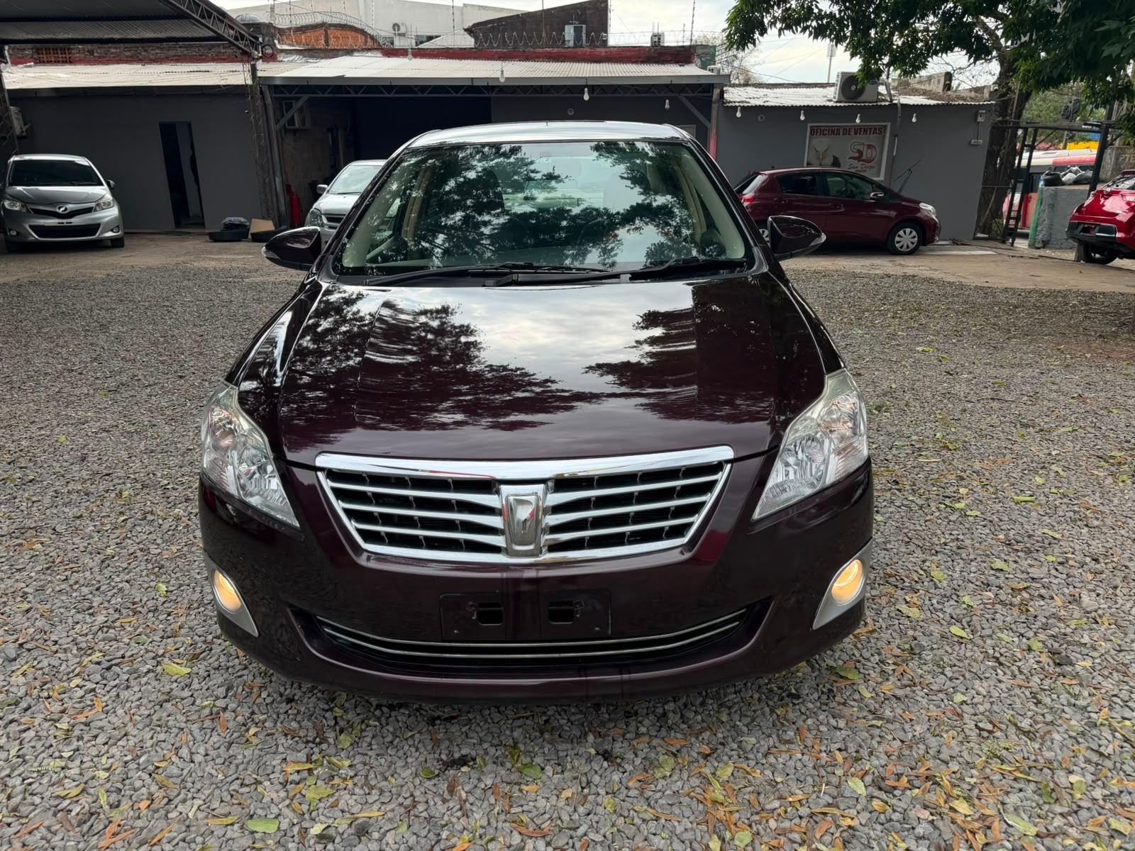 Toyota Premio image 1